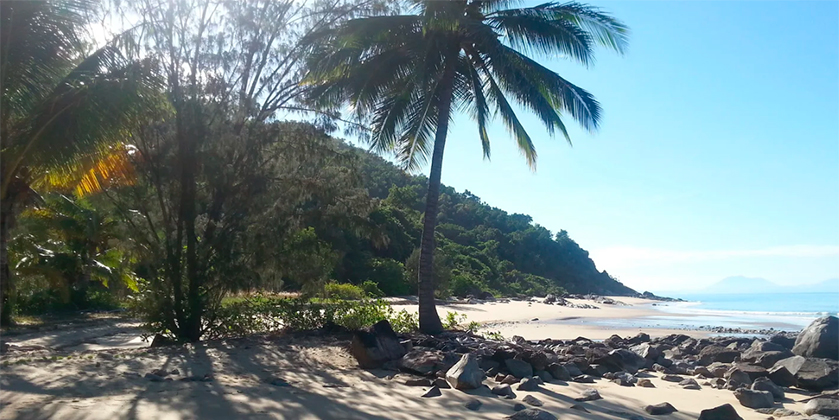 Welcome to Turtle Cove Beach Resort