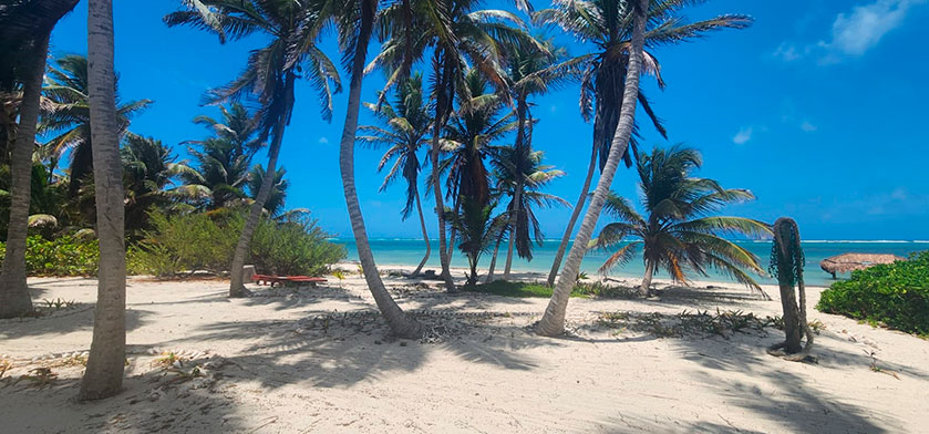 Discovering paradise: our journey to Playa Sonrisa Resort 