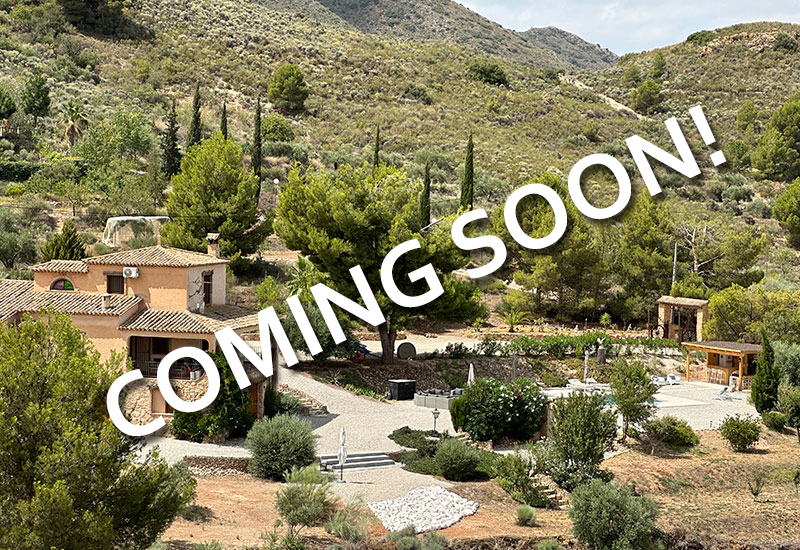 Casa Los Olivos Vista - coming soon!