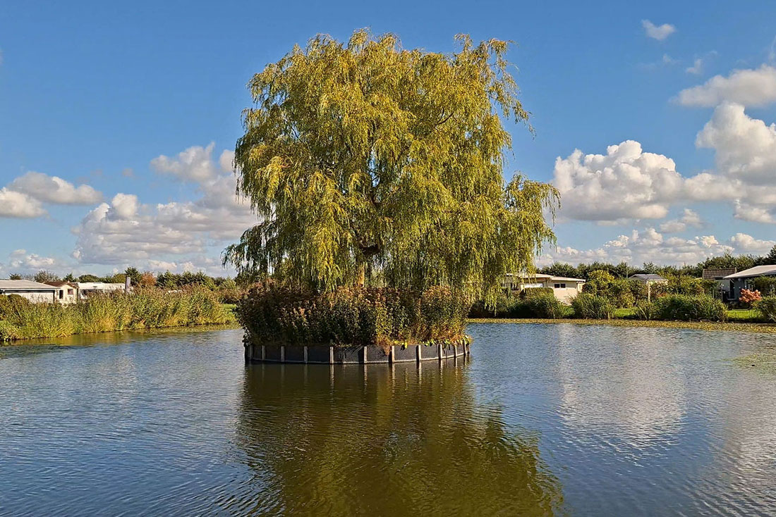 Natural swimming pond at naturist campsite De Brongaard Hellevoetsluis