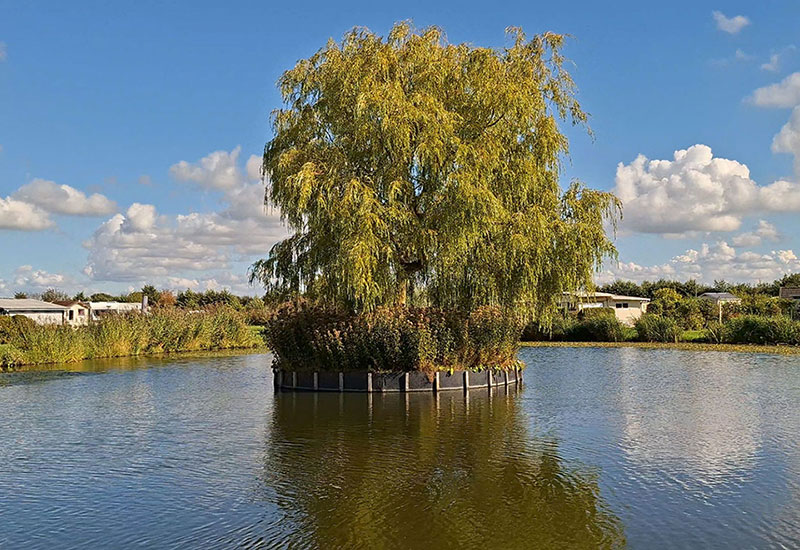 Discover more about Campsite De Brongaard