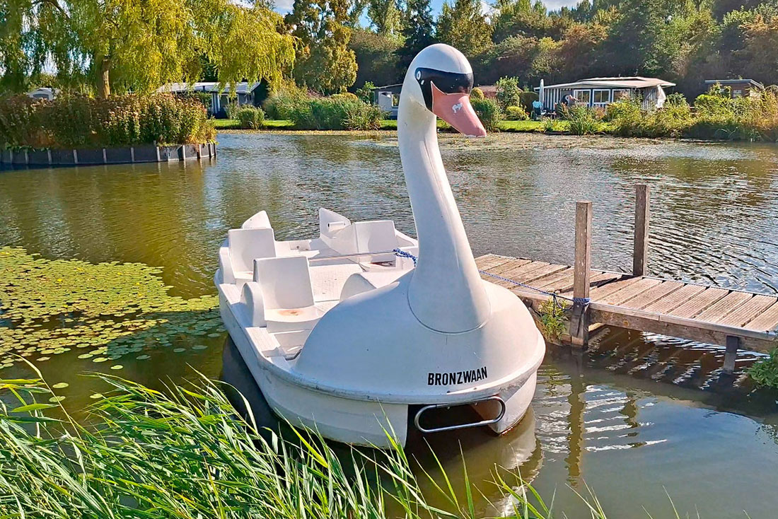 &apos;Bronzwaan&apos; pedal boat on swimming pond of De Brongaard