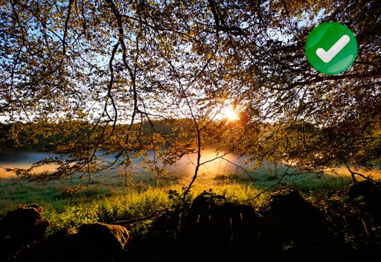 frankrijk-fern-fields-naturist-retreat