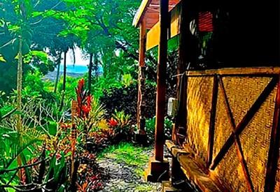 hawaii-lalala hawaii-lalala