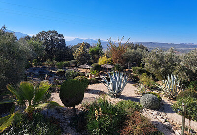 spain-finca-franca-03.jpg