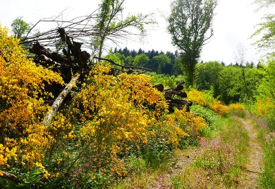domaine-de-la-gagere-15.jpg