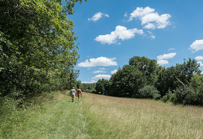 frankrijk-le-coteau-de-l-herm-09.jpg