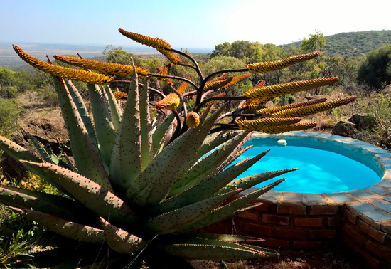 zuid-afrika-kiepersolkloof-private-nature-reserve